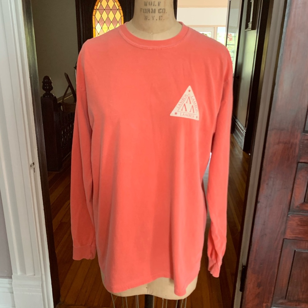 Comfort Colors Lambda Sorority T-shirt M EUC